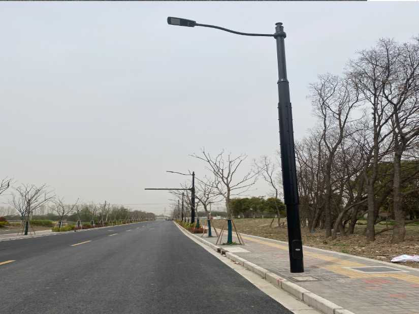 福贡县上海综合杆 太阳能路灯工程